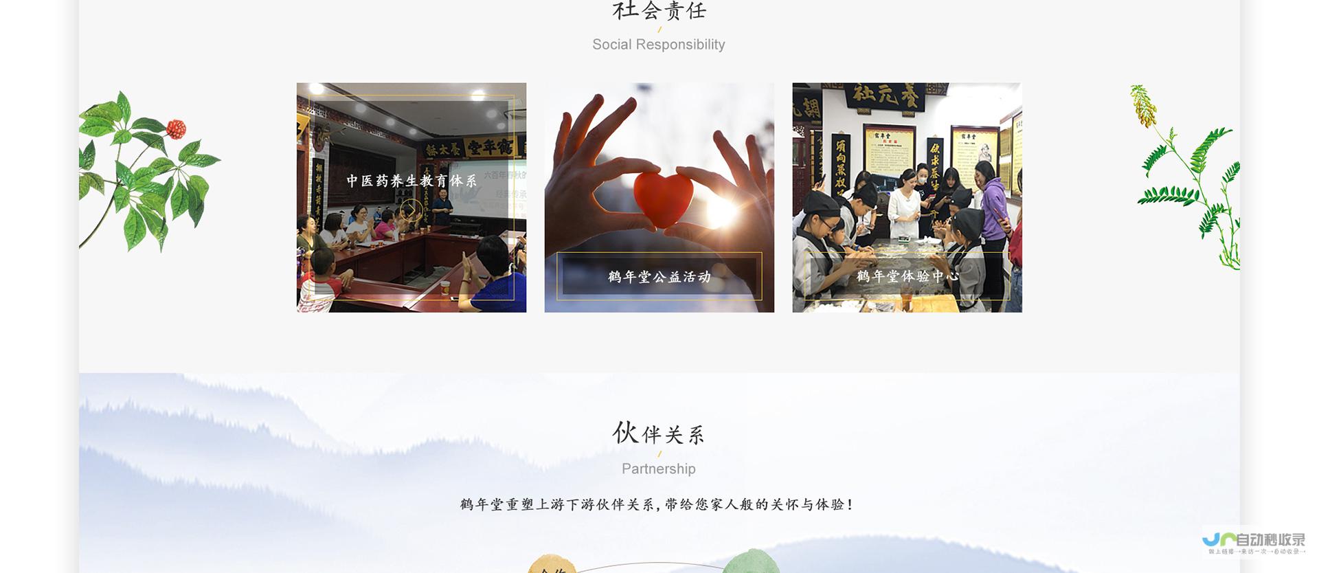 北京专业网站建设服务：定制化解决方案，满足您多样的线上需求